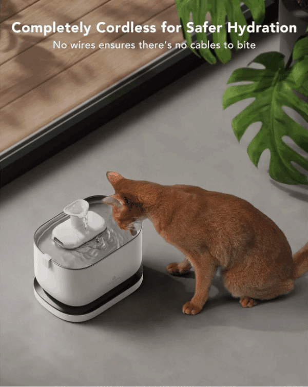 Agua, Fuente inalámbrica para gatos